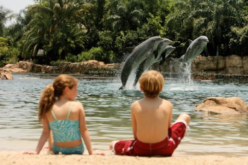 SeaWorld Parks - Discovery Cove Ultimate Package - Winter Offer!