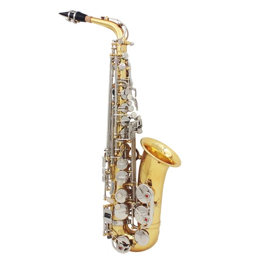 Lade Alto Saxophone Sax Brillant En Laiton Gravé Eb E-Plat Naturel Blanc Shell Bouton Vent Instrument