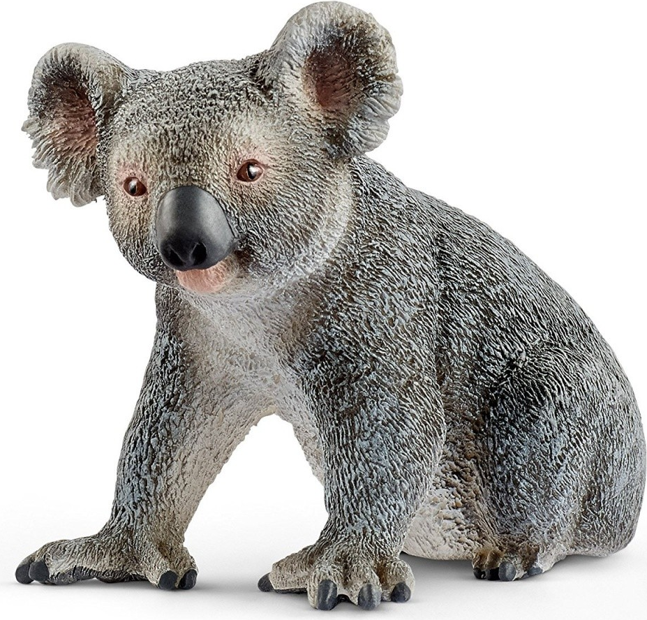 Wild Life Koalabär- 14815 (14815)