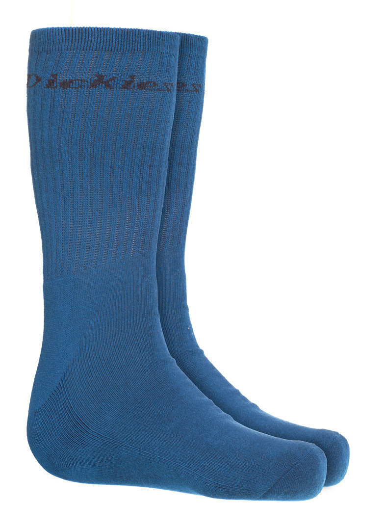 Dickies Sutton Chaussettes Multicolore 39 42