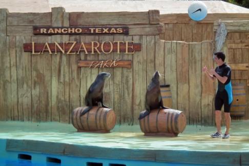 Rancho Texas Lanzarote Park - Interacción con Leones Marinos
