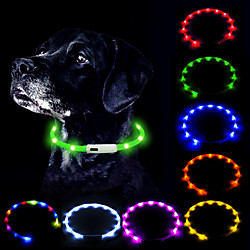 collier de chien led rechargeable par usb lueur dans le collier sombre pour animaux de compagnie, colliers lumineux en silicone pour la marche nocturne du chien (bleu)