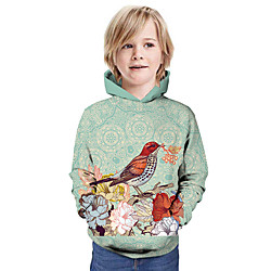 Kids Boys' Hoodie  Sweatshirt Long Sleeve 3D Print Floral Bird Animal Print Green Children Tops Summer Active Daily Wear Regular Fit 3-13 Years Lightinthebox