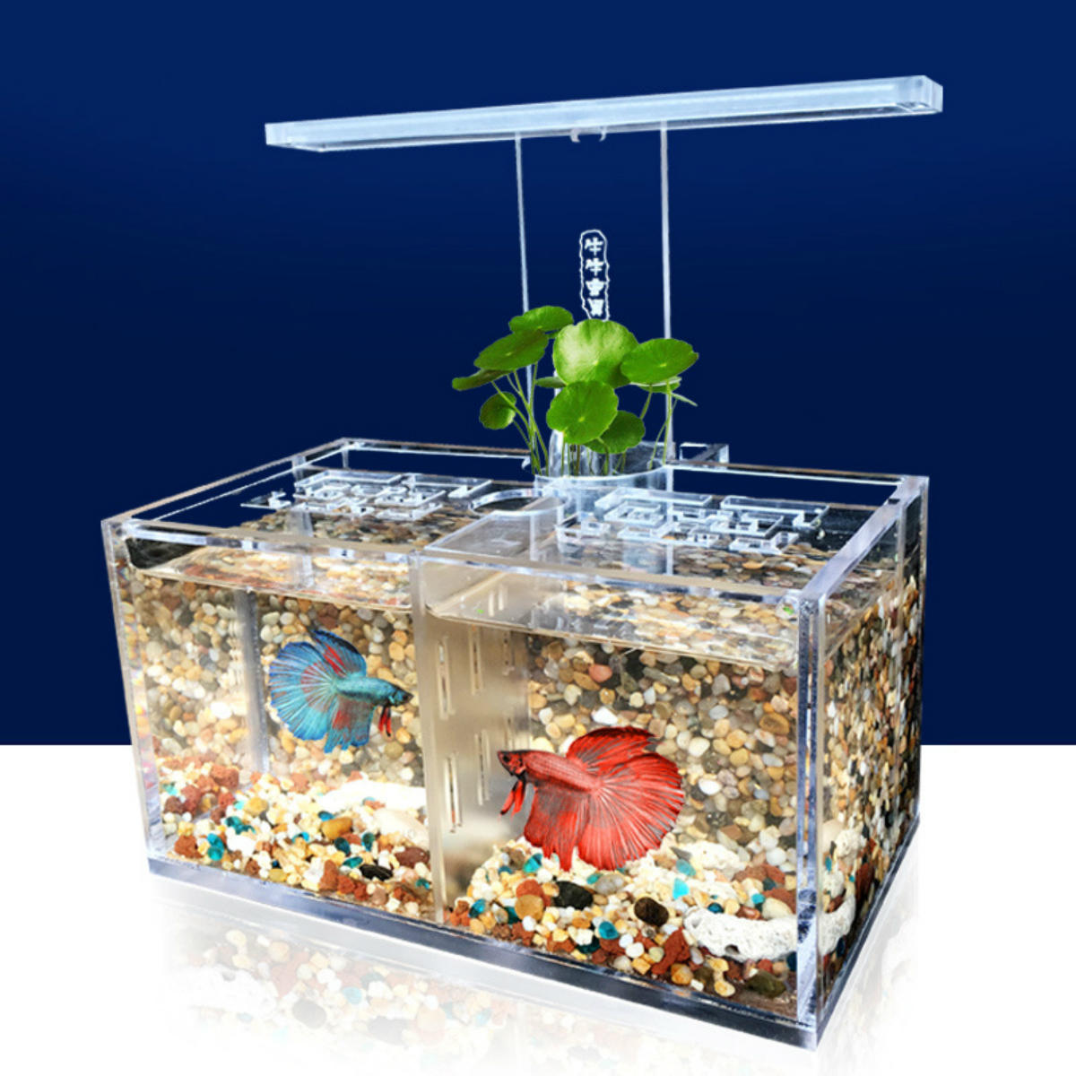 LED-Licht Acryl klar Aquarium Mini Betta Aquarium Desktop Wasser Pumpe