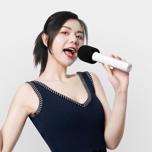 Microphone karaoké THUNDERSTONE exclusivement compatible avec  TV Microphone karaoké sans fil avec récepteur micro portable haut-parleur Machine 2 pièces