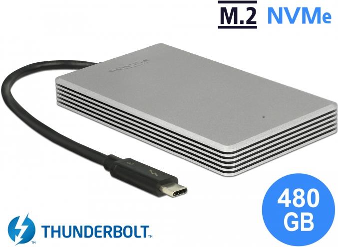 DeLOCK - SSD - 480GB - extern (tragbar) - M.2 - Thunderbolt 3 (USB-C Steckverbinder) - Silber (54007)