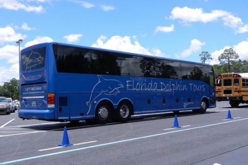 Florida Dolphin Tours - Gatorland Alligator Adventure with Airboats