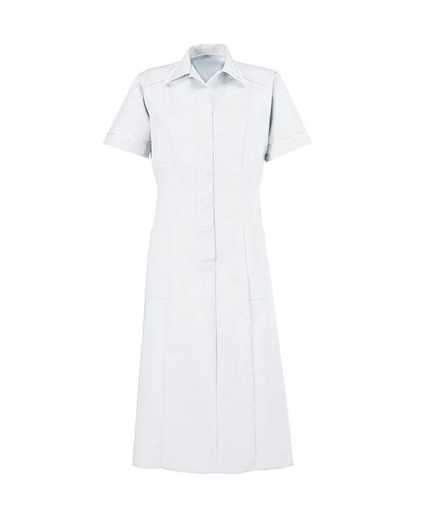 Alexandra square collar dress