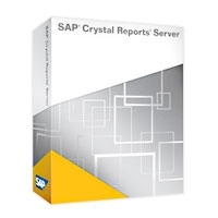 SAP Crystal Reports Server 2011 WIN INTL 20 CAL License (7011153)