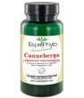 Canneberge Cranberry 90 Esprit phyto