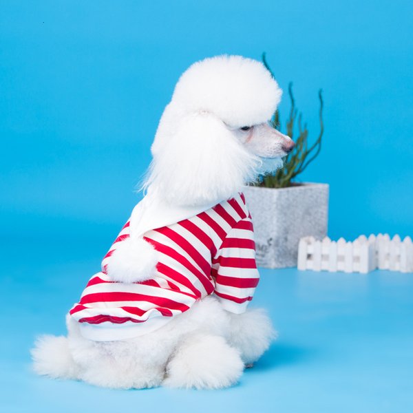 and Winter Autumn Cat Cotton Elastic Dog Pet Clothing