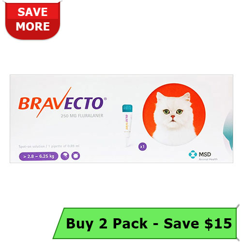 Bravecto Spot On For Medium Cats 6.2 Lbs - 13.8 Lbs (Orange) 250 Mg 1 Pack