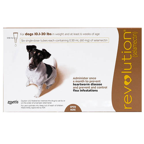 Revolution For Small Dogs 10.1 - 20lbs (Brown) 6 Doses