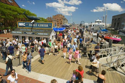 New England Aquarium Whale Watching Boston Harbor Cruises