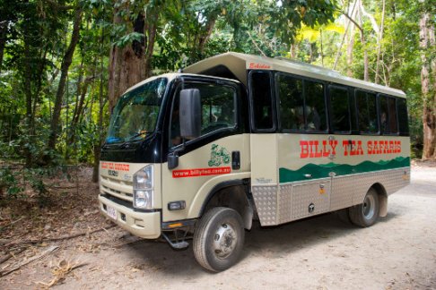 Billy Tea Safaris - Daintree/Cape Tribulation