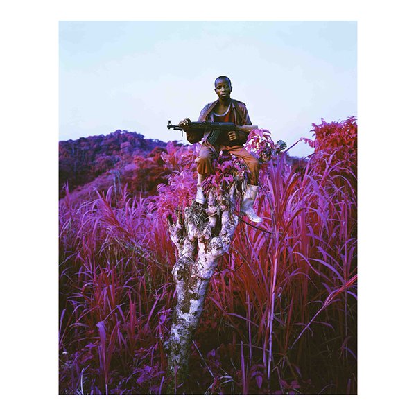 Richard Mosse Photography Highland Poster Painting Print Home Decor Framed Or Unframed Photopaper Material