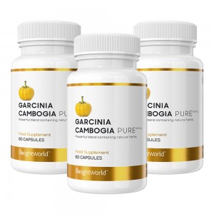 Garcinia Cambogia Pure - Abnehmen und Fettverbrennung beschleunigen - 3er Pack