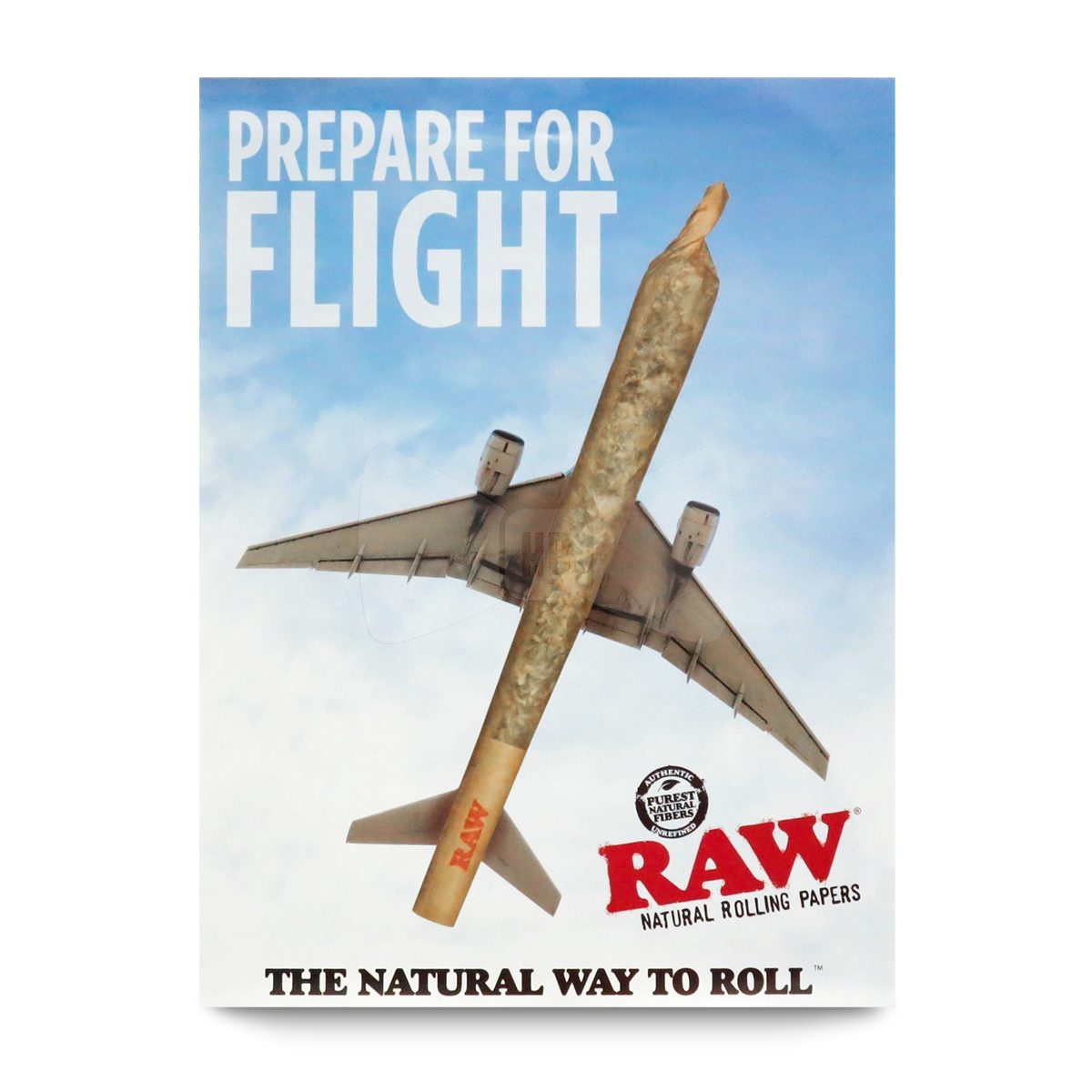 RAW Plane Poster