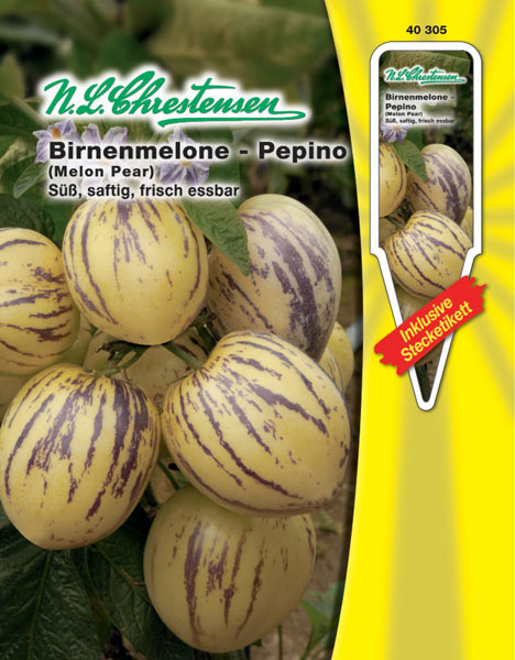 Birnenmelone - Pepino (Solanum muriatum)