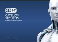 ESET Gateway Security for Linux / BSD / Solaris - Erneuerung der Abonnement-Lizenz (2 Jahre) - 1 Workstation - Volumen - 11-24 Lizenzen - Linux, Solaris, NetBSD, FreeBSD (LGS-R2B11)