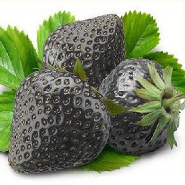 500Pcs Black Strawberry Seeds Garden Fruit Seeds