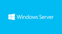 Microsoft Windows Server Standard 2019 - Lieferservice-Partner (DSP) - 1 Lizenz(en) - 32 GB - 0,512