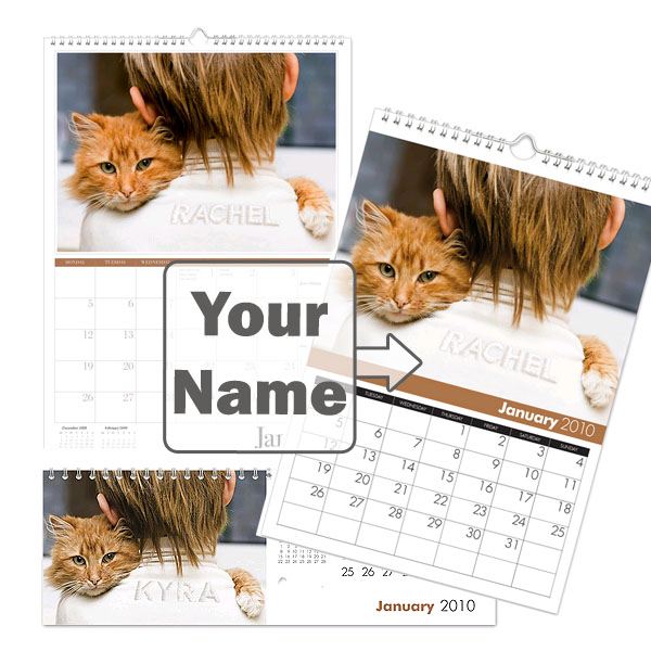 Personalised Cat Calendar Desktop
