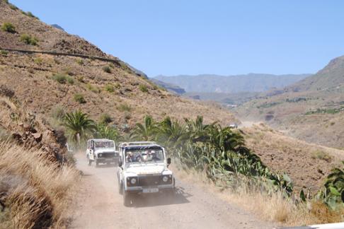 4x4 Safari + Camel Ride - From other Areas