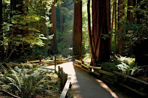 Incredible Adventures - Muir Woods, Napa, and Sonoma Overnight Tour (2 days)