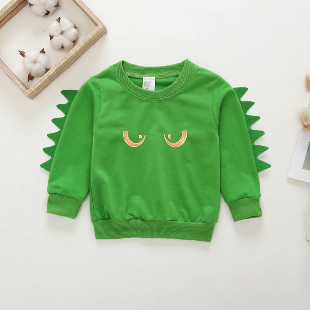 Stylish Eyes Applique Pullover for Toddler Boy and Boy