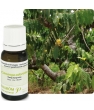 Ylang Ylang Extra Flacon compte gouttes Pranarôm