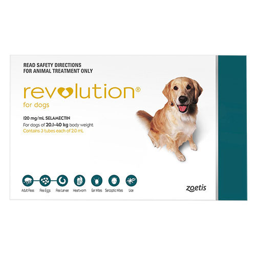 Revolution For Large Dogs 40.1-85lbs (Green) 12 Doses