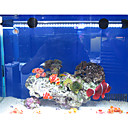 19CM Blanc économie d'énergie SuperBright LED Aquarium bocal à poissons Lumières de plongée