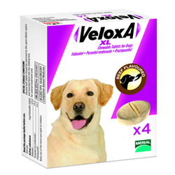 Veloxa Xl Chewable Tablets For Large Dogs Up To 35 Kg 4 Tablet