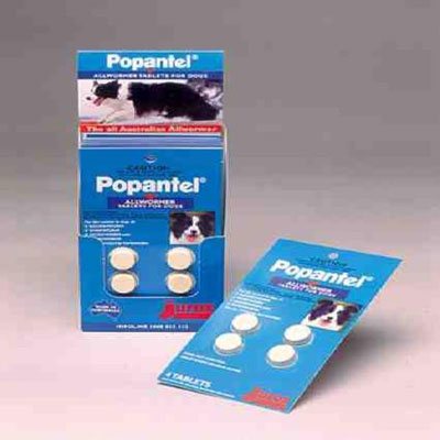 Popantel Allwormer For Dogs 10 Kgs (22 Lbs) 1 Tablet