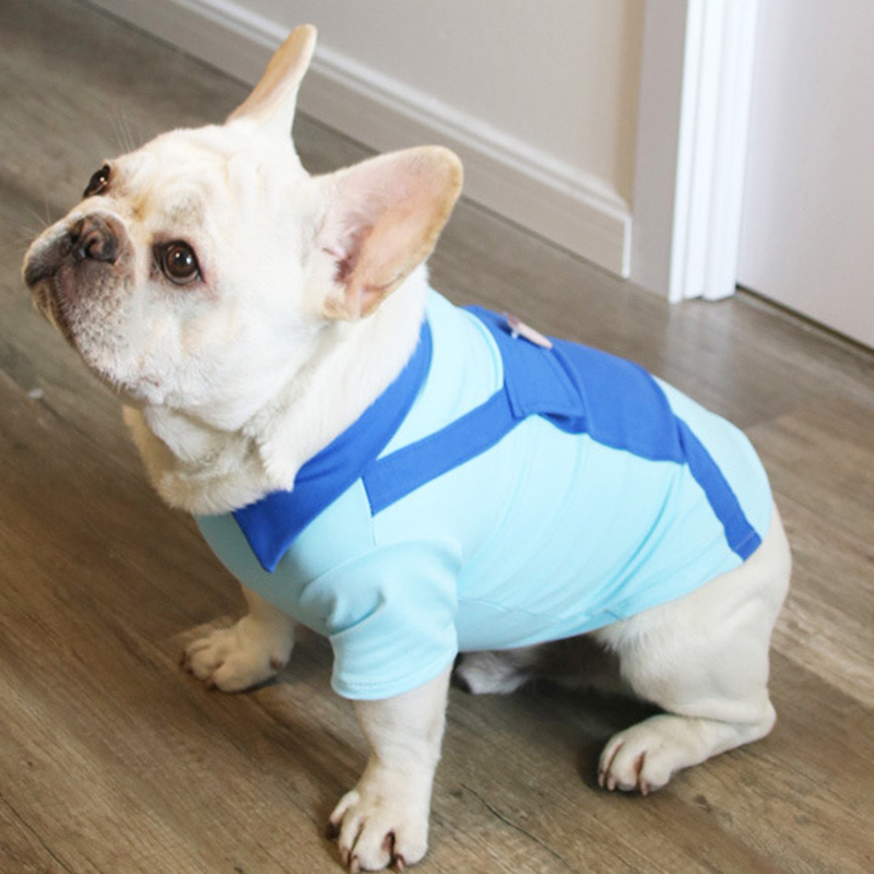 Dress and Shirt for your Pet with Pocket