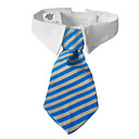 Gentleman Style magique réglable Bande Col avec cravate pour Animaux Chiens (couleurs assorties)