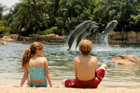 SeaWorld Parks - Discovery Cove Ultimate Package - Early booker Offer