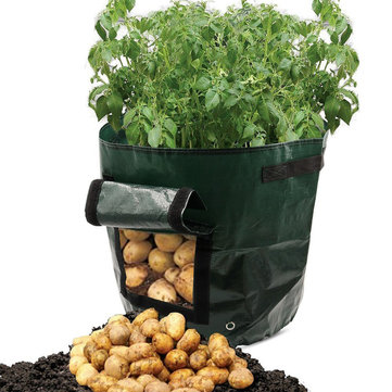Potato Grow Planter PE Container Bag