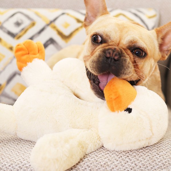 Pet Plush Rx Products Dog Chew Toy