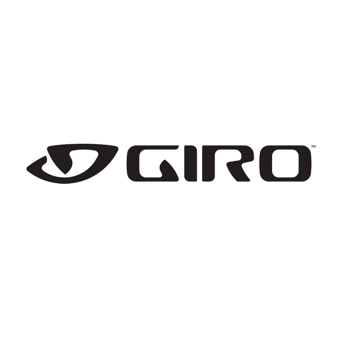 GIRO Switchblade Camera Helmet Visor Black S