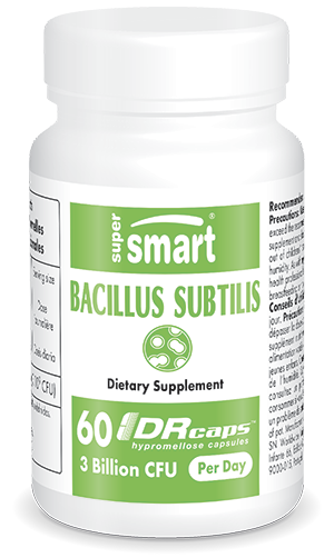 Bacillus subtilis 60 mg