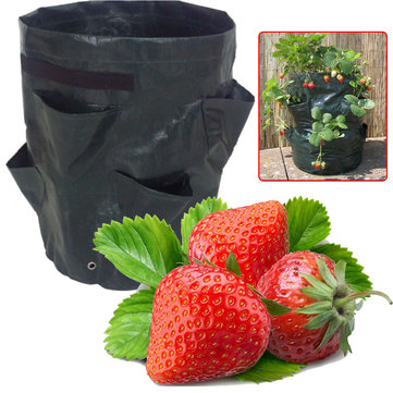 8 Pockets Potato Strawberry Plant Bag