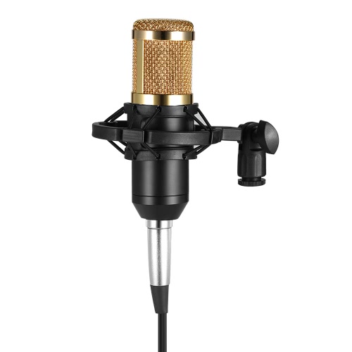 BM800 Microphone à condensateur