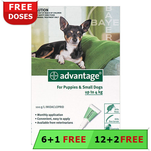 Advantage Small Dogs/ Pups 1-10lbs (Green) 4 Doses