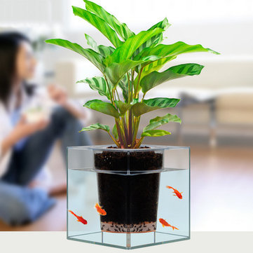 2 in 1 Clear Aquarium Self-watering Pot Planter