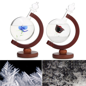 DecBest Tempo Storm Glass Weather Forecaster