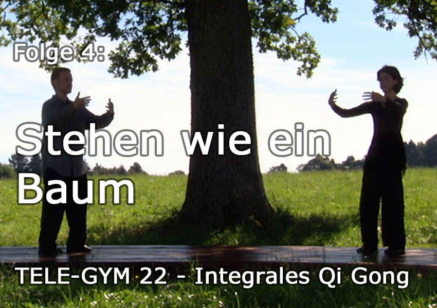 TELE-GYM 22 Integrales Qi Gong Folge 4: Stehen wie ein Baum VOD