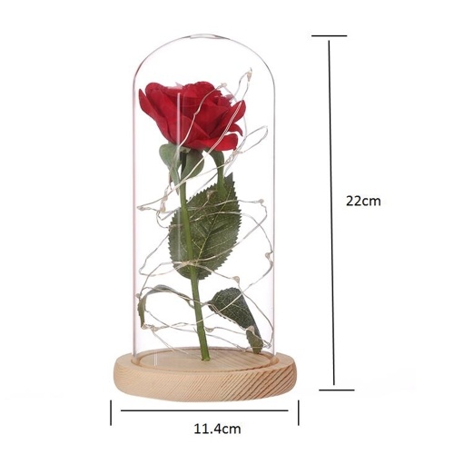 Floral Decor Beauty and the Beast Red Rose Fallen Petals in a Glass LED Gift