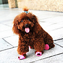 petit modèle de lapin sandale en plastique confortable pour animaux de compagnie chiens couleurs aléatoires couleurs assorties